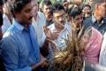 YSR Congress bats for farmers, consumers in Andhra - Sakshi Post