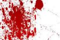 Man Murders Father, Sister-in-law - Sakshi Post