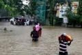 Hyderabad IT compensates for Chennai disaster - Sakshi Post