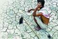 Central team visits drought-affected districts in AP - Sakshi Post