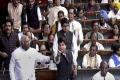 Cong seeks apology from BJP MP for remarks against Rahul - Sakshi Post