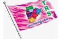 Four TRS MLCs win unanimously - Sakshi Post