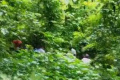 Hostel Girls Missing Over Month Found Dead in Warangal Hostel Girls Missing Over Month Found Dead in Warangal - Sakshi Post