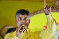 We would have completed the Metro by now: Naidu - Sakshi Post