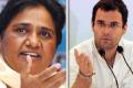 Mayawati did nothing for Dalits: Rahul Gandhi - Sakshi Post