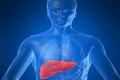 Osmania Hospital saves life with liver transplantation - Sakshi Post