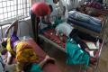 Six Dead as Tempo Lorry Collide in Chittoor District - Sakshi Post