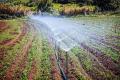 Telangana, Andhra account for highest investment in irrigation Telangana, Andhra account for highest investment in irrigation - Sakshi Post