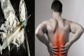 Chronic back pain - Sakshi Post
