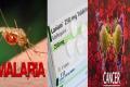 Malaria drug shows promise in cancer treatment - Sakshi Post