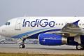 Man detained for violent behaviour on IndiGo flight - Sakshi Post
