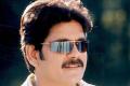 Birthday boy - Sakshi Post