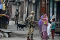 Security personnel at a cordoned off street in the Kashmir valley. - Sakshi Post