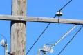 Live wire causes death - Sakshi Post