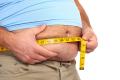 According to the Indian medical statistics, obesity has gripped 30 per cent of the school-going children due to the sedentry lifestyle and lack of physical activities According to the Indian medical statistics, obesity has gripped 30 per cent of the school-going children due to the sedentry lifestyle and lack of physical activities - Sakshi Post