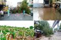The state government has pegged Rs 2,200 crore loss following heavy downpour - Sakshi Post