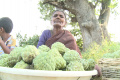 Waiting for the customers - Sakshi Post