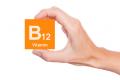 The device would enable the tracking of vitamin B12 levels in high-risk patients - Sakshi Post
