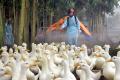Centre on Tuesday issued a health advisory to states asking them to minimise bird-human interface to prevent an outbreak of bird flu. - Sakshi Post