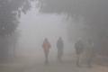 It may be recalled that the temperature dipped below 13 degrees on November 18, 2012 - Sakshi Post