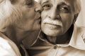 A daily dose of probiotics can help improve cognitive functioning in people with Alzheimer’s disease. - Sakshi Post