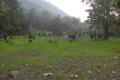 Police teams cordoning off forest areas - Sakshi Post