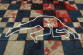 Gang war takes its toll - Sakshi Post