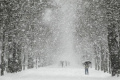 A deadly icy spell has gripped Europe - Sakshi Post