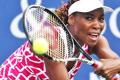 Venus Williams Venus Williams - Sakshi Post