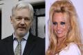Julian Assange opens about his rumoured romance with actress Pamela Anderson - Sakshi Post