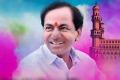 City goes pink to greet KCR - Sakshi Post