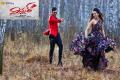 The movie had been directed by Gopichand Malineni - Sakshi Post