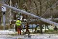 High winds blew through knocking down trees, trucks and electrical poles. - Sakshi Post