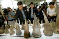 Thai Customs officers display seized rhino horns during a press conference at the customs office in Suvarnabhumi airport in  Thailand, Tuesday. - Sakshi Post