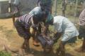 The people inhaled a poisonous gas that emanated from the tank and died - Sakshi Post