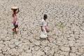 Farmers suicide still a cause worry&amp;amp;nbsp; - Sakshi Post