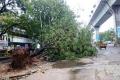 The city was thrown out gear with heavy rainfall and gales on Tuesday and Wednesday - Sakshi Post