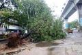 The city was thrown out gear with heavy rainfall and gales on Tuesday and Wednesday The city was thrown out gear with heavy rainfall and gales on Tuesday and Wednesday - Sakshi Post