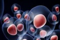 Diabetes is a group of diseases that affect the body’s ability to produce or use insulin - a hormone that allows your body to turn glucose into energy - Sakshi Post