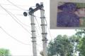 Deceased Podugu Mahesh(26) clung to the electric pole for more than 20 minutes and threatened the family members of committing suicide. - Sakshi Post