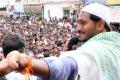 YS Jagan at Chinta Arugu in Nandyal&amp;amp;nbsp; - Sakshi Post