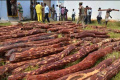 International smuggler AT Maideen was on Thursday arrested by the police at Mydukur town in YSR Kadapa district. - Sakshi Post