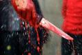 Representational image&amp;amp;nbsp; - Sakshi Post