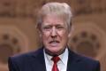 President Donald Trump President Donald Trump - Sakshi Post