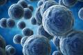 PTSD is a serious psychiatric disorder that can develop after a person experiences a life-threatening trauma. The findings showed that individuals with PTSD had significantly lower levels of a combination of three bacteria -- Actinobacteria, Lentisph PTSD is a serious psychiatric disorder that can develop after a person experiences a life-threatening trauma. The findings showed that individuals with PTSD had significantly lower levels of a combination of three bacteria -- Actinobacteria, Lentisph - Sakshi Post