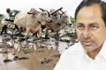 Chief Minister K Chandrashekhar Rao decided to supply 24-hour quality and uninterrupted power to  agricultural sector&amp;amp;nbsp; - Sakshi Post