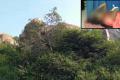 The Boulder where the mishap took place&amp;amp;nbsp; - Sakshi Post