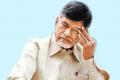 Andhra Pradesh Chief Minister N Chandrababu Naidu - Sakshi Post