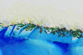 Two to four times more glaciers are at risk of accelerated melting Two to four times more glaciers are at risk of accelerated melting - Sakshi Post