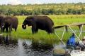 A US Fish and Wildlife Service (FWS) official said the agency received new information from Zambia and Zimbabwe that the move would benefit conservation in their countries. A US Fish and Wildlife Service (FWS) official said the agency received new information from Zambia and Zimbabwe that the move would benefit conservation in their countries. - Sakshi Post